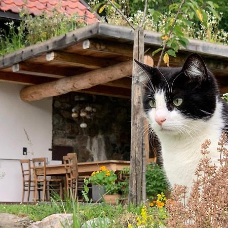 Ferienhaus Krieben Tresdorf 외부 사진
