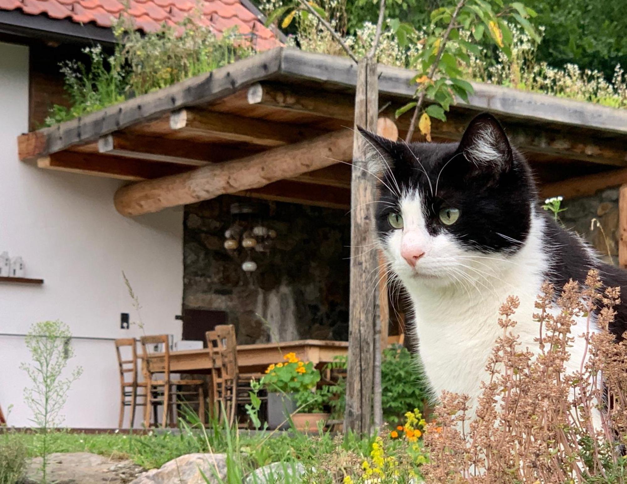 Ferienhaus Krieben Tresdorf 외부 사진